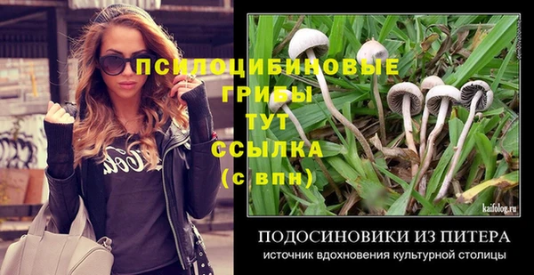 дурь Анива