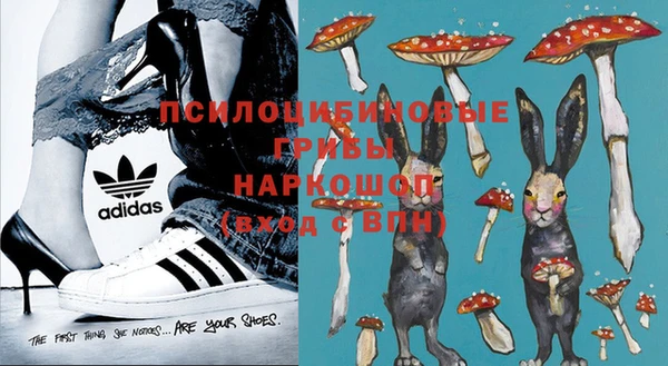 метадон Медвежьегорск