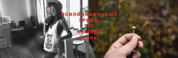 метадон Медвежьегорск