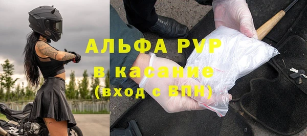 гашик Михайлов