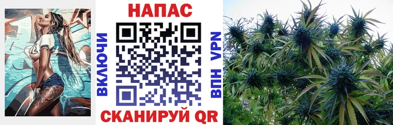 Каннабис семена  Нефтегорск 
